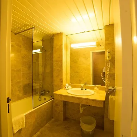 Alp Hotel 3*