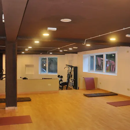 Alp Hotel