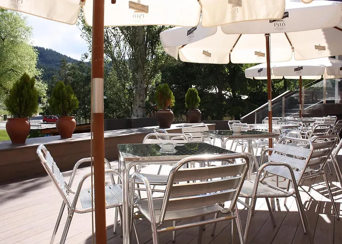 Hotel Alp 3*