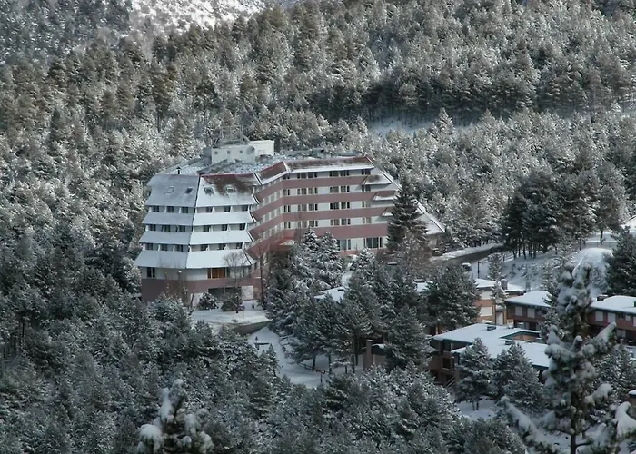 Alp